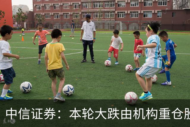 中信证券：本轮大跌由机构重仓股诱发，传导至高融资占比板块，AI核心票调整接近尾声
