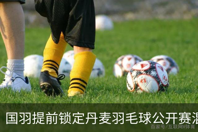 国羽提前锁定丹麦羽毛球公开赛混双冠军-国际在线