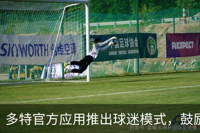 多特官方应用推出球迷模式，鼓励球迷比赛中少使用手机