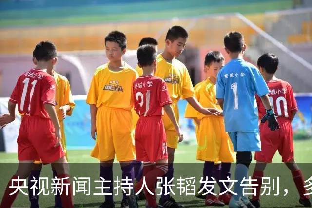 央视新闻主持人张韬发文告别，多次主持春晚，39岁转岗新工作