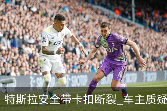 特斯拉安全带卡扣断裂 车主质疑质量缺陷