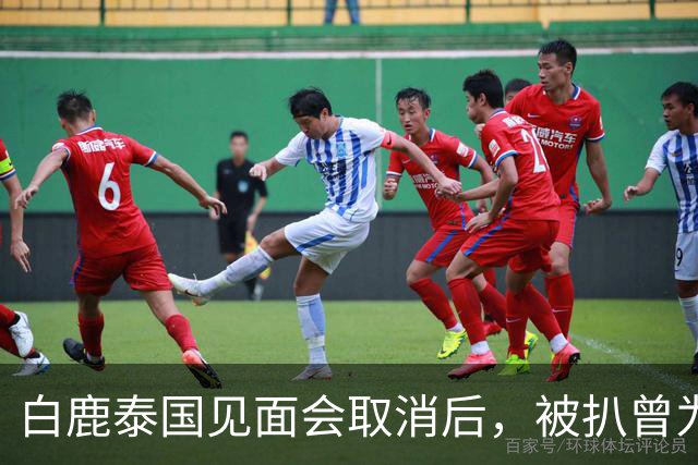 白鹿泰国见面会取消后，被扒曾为缅北拍宣传片，知情人爆更多内幕