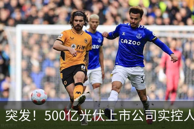 突发！500亿光伏上市公司实控人被批捕