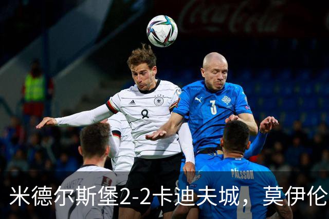 米德尔斯堡2-2卡迪夫城，莫伊伦破门，威尔-兰克希尔救主