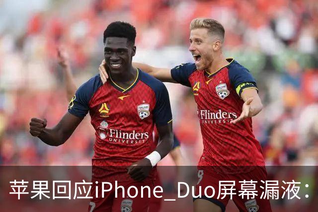 苹果回应iPhone Duo屏幕漏液：门店配件备货不足，送修等待时间较长，如果是产品本身质量问题，用户不用支付任何费用